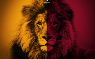 有球电竞焦点-从葡萄牙贫民窟到圣西罗